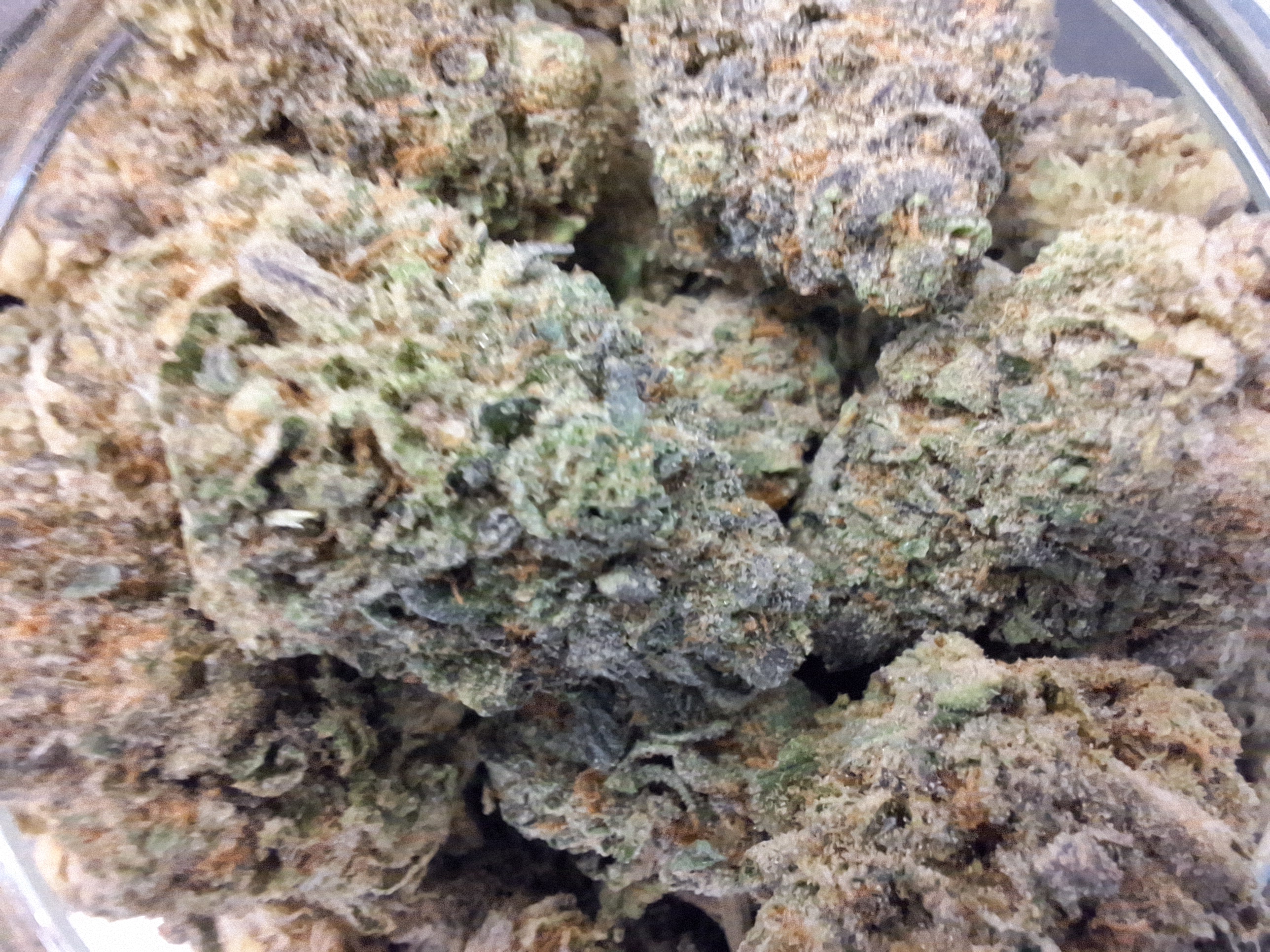 Photograph of Product: Red Delicious | High Brix Cannabis - 1g