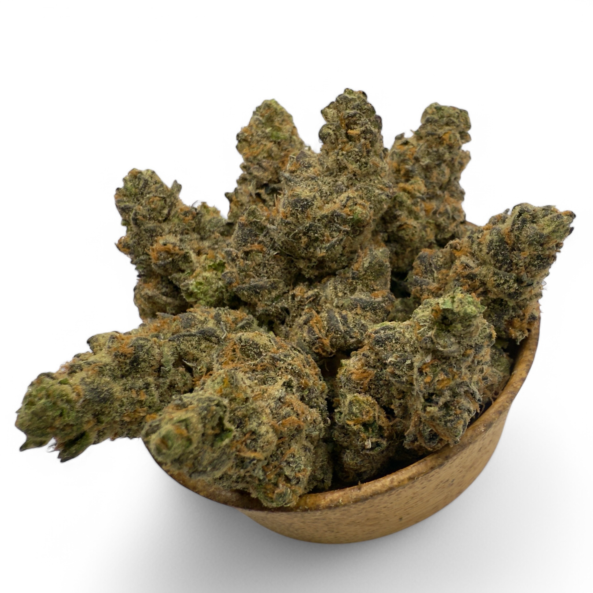 Photograph of product: GSC Forum - Oregon Roots