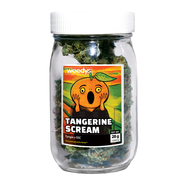 Photograph of product: Tangerine Scream | 1oz | Stash Jar - 28g