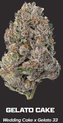 Photograph of product: ZIPS | Gelato Cake 28g