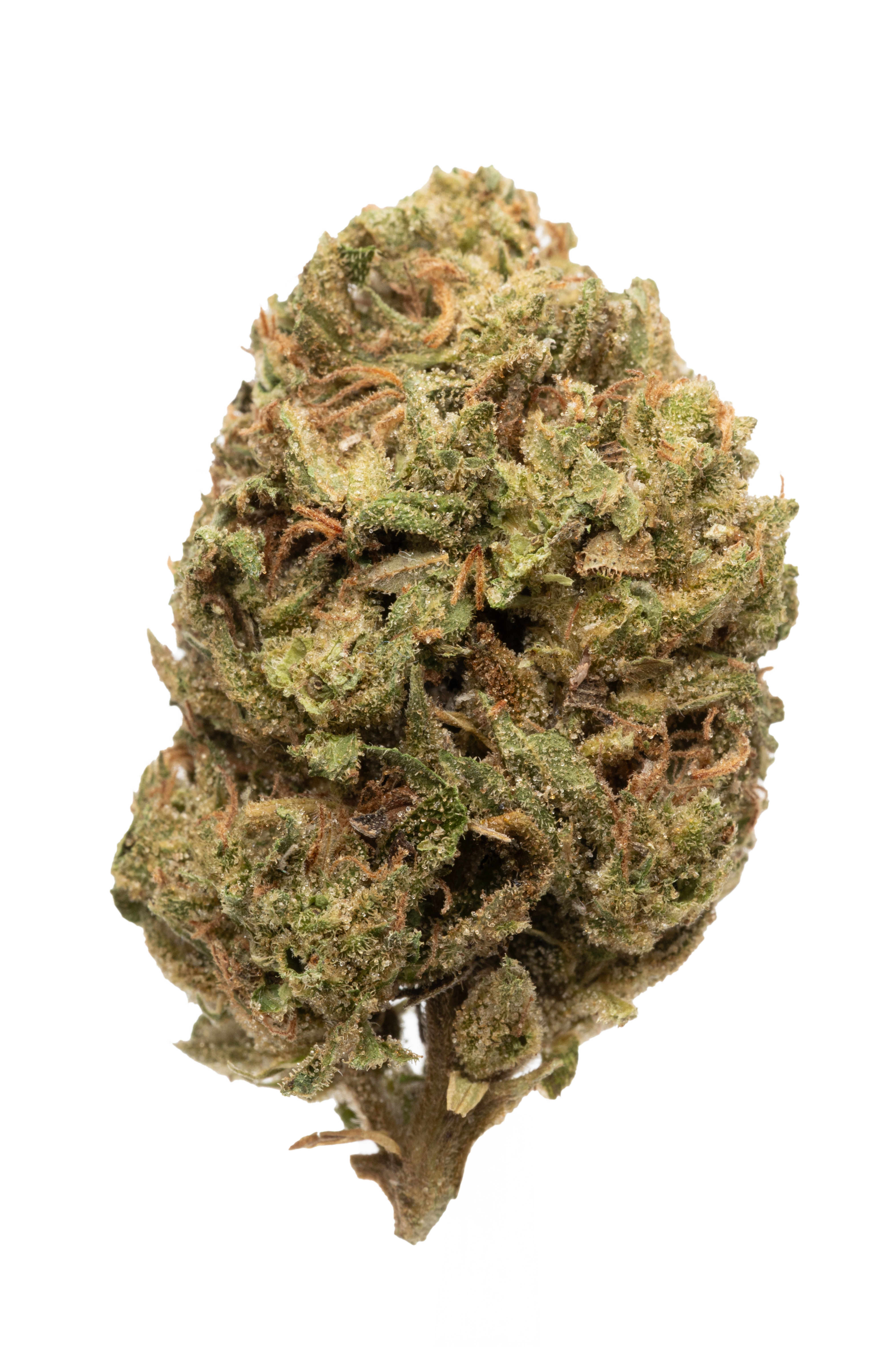 Photograph of product: Hurley | Flower | Night Rider - 3.5g