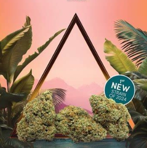 Photograph of product: Glenna's & Co Persian Triangle 3.5g