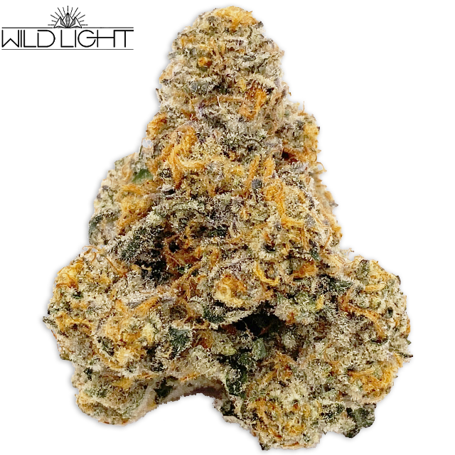 Photograph of product: SPACE WRANGLER (3.5G)