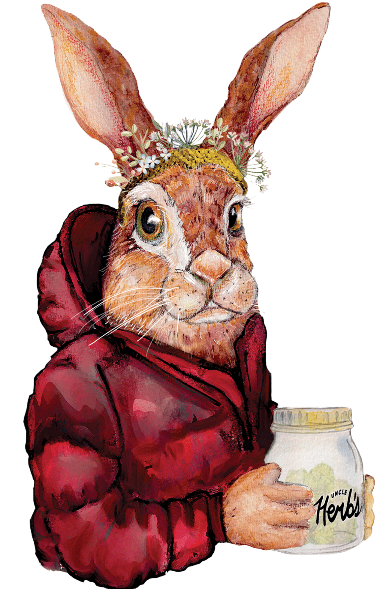 Photograph of product: Herbs Pin (King Circle) Snowshoe Hare