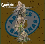 Photograph of product: Apples & Bananas  | 3.5G | Cookies