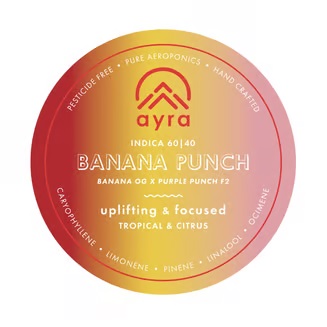 Photograph of product: Banana Punch - 4g