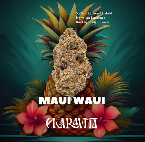 Photograph of product: Claravita | Maui Waui (TAX INCLUDED) - 3.5g