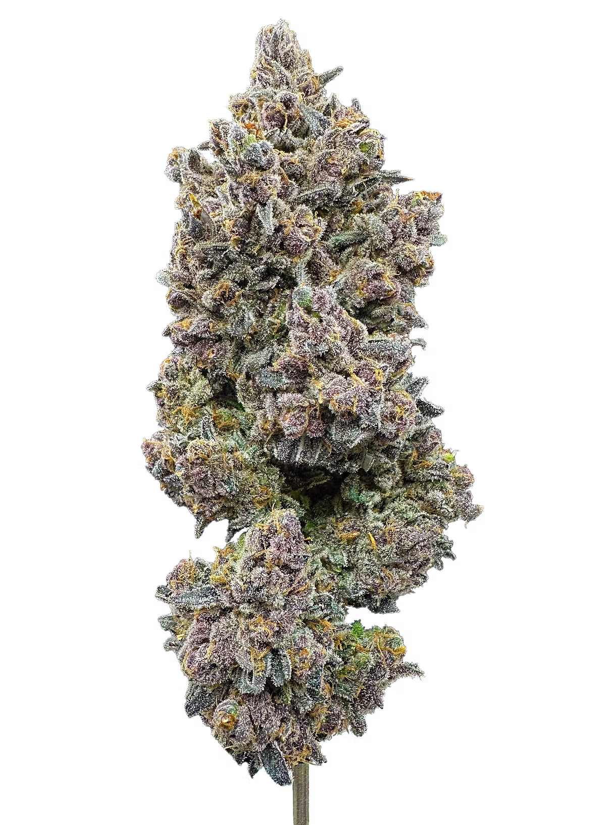 Photograph of product: Trifecta Farms | Fruit Pebblez | 3.5g