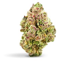 Photograph of product: Slurricane - 3.5g