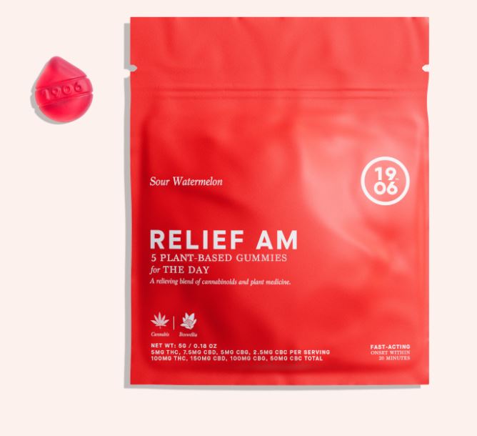 Photograph of product: AM Relief | 5pk | 100mg