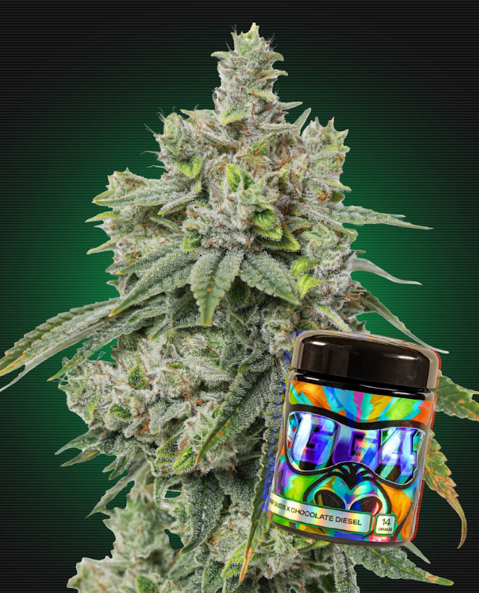 Photograph of product: GG4 - Prepackaged Miron Jar - 28g