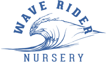 Photograph of product: WAVE RIDER - RS-11 PR 1G