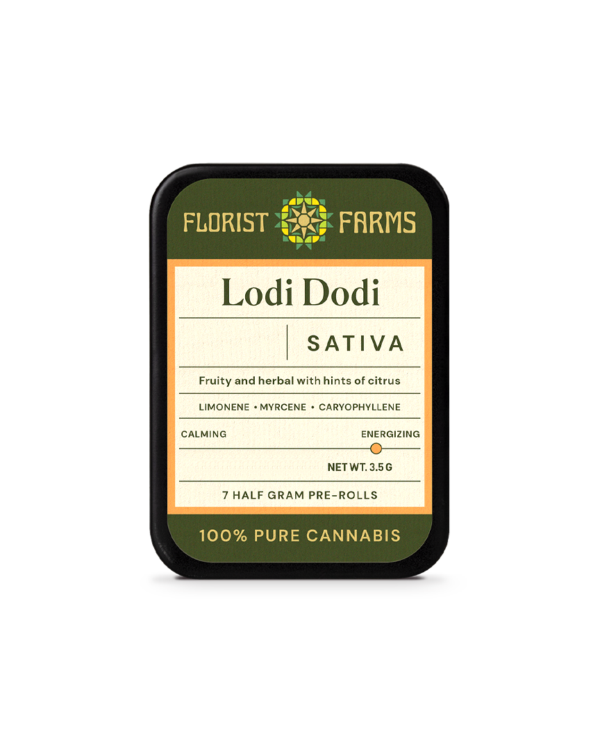 Photograph of product: LODI DODI | 7-Pack