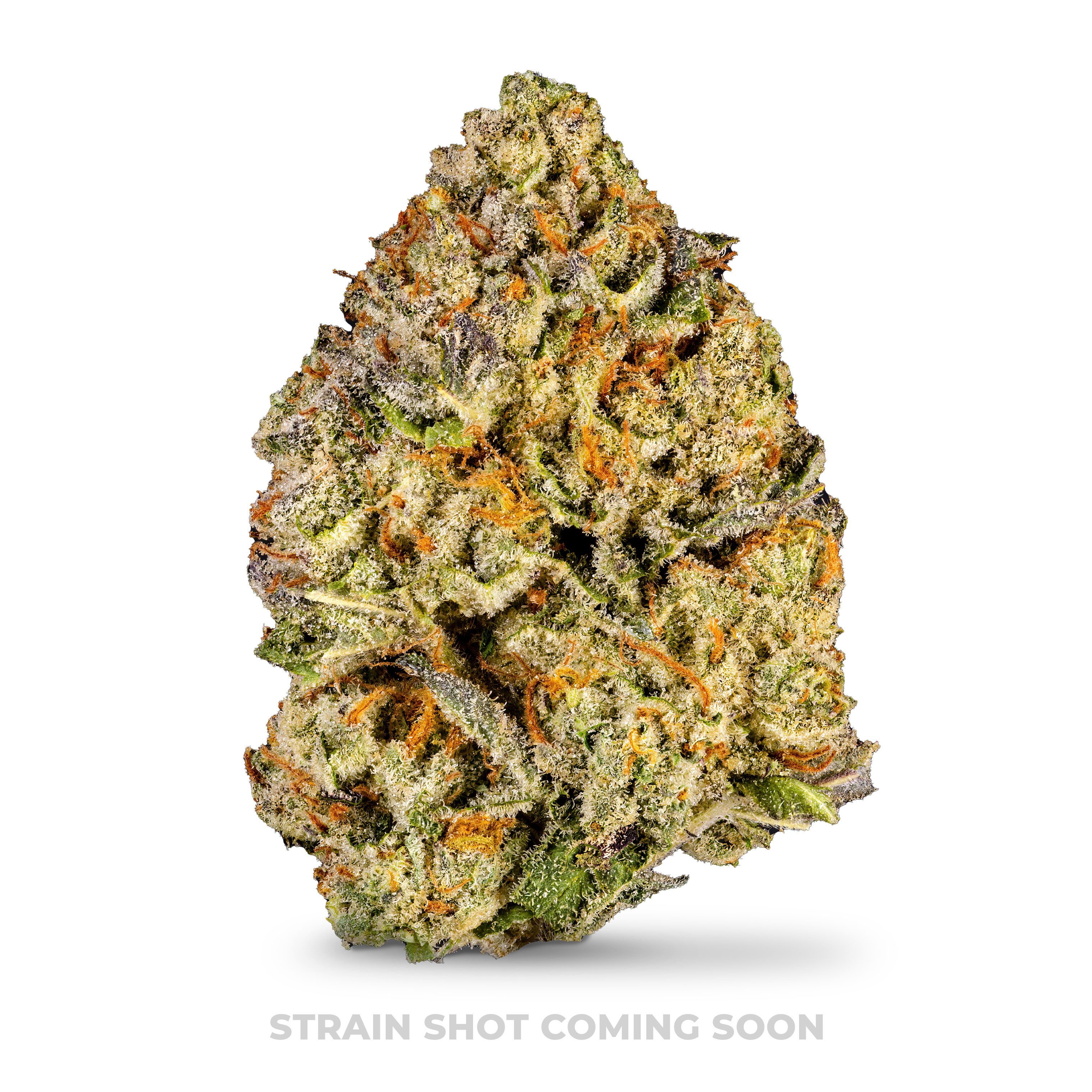 Photograph of product: SherbCake ($13 Special, No Discounts) - 3.5g