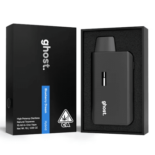 Photograph of product: Blueberry Dream All-In-One Vape - 