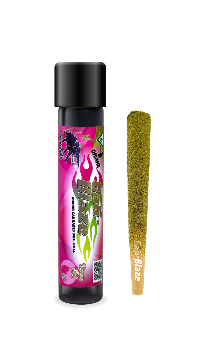 Photograph of product: 1.2G Dragonfruit Infused PreRoll