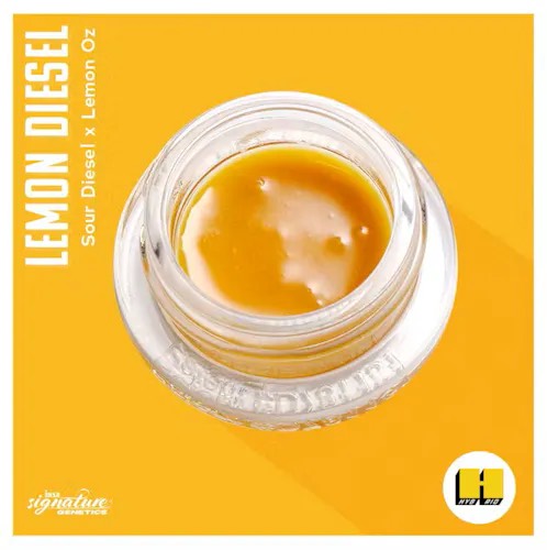 Photograph of Product: Lemon Diesel Batter | 1g