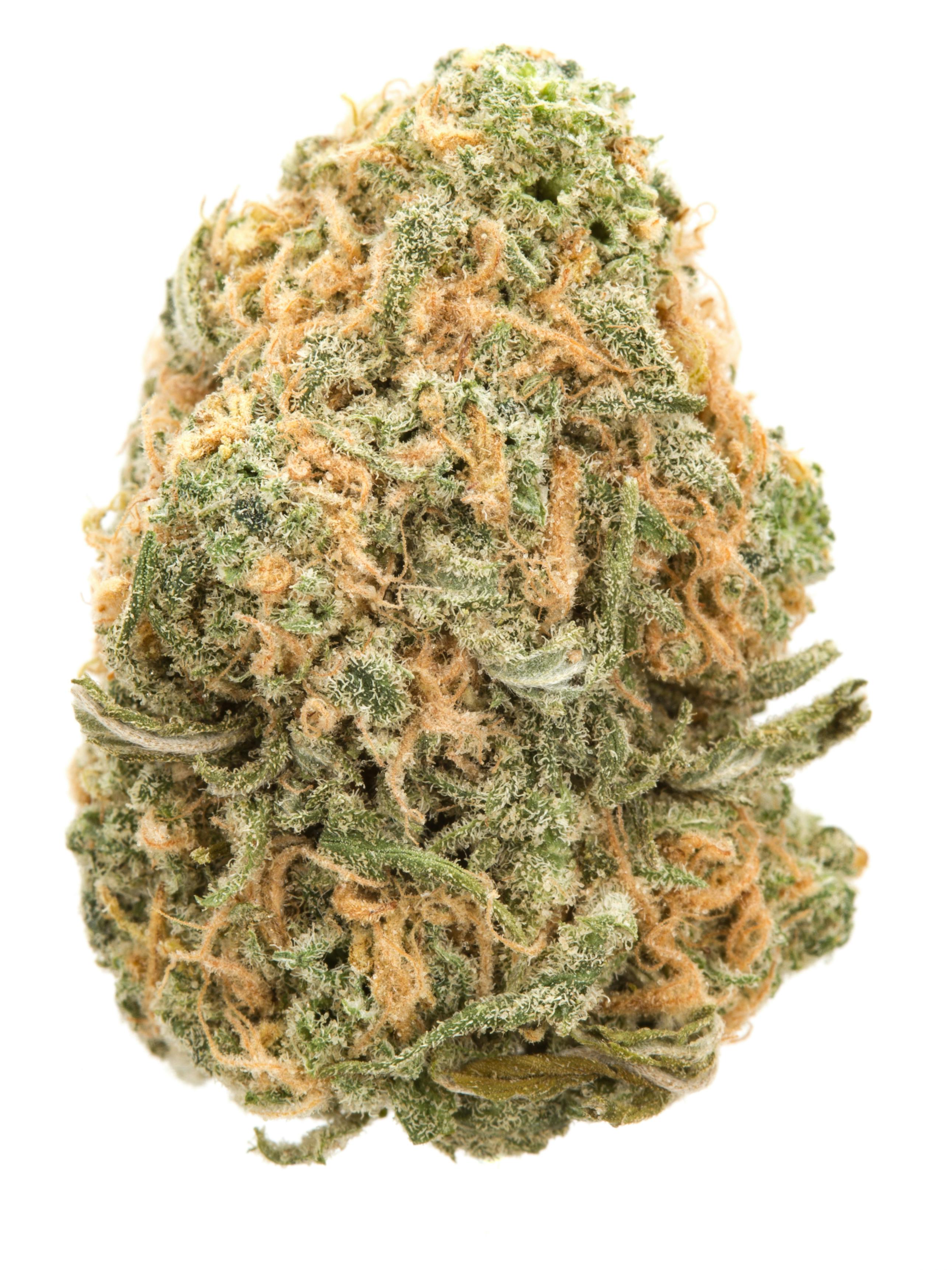 Photograph of product: Bailey's Buds | Blue Dream Sour Jack Flower 3.5g
