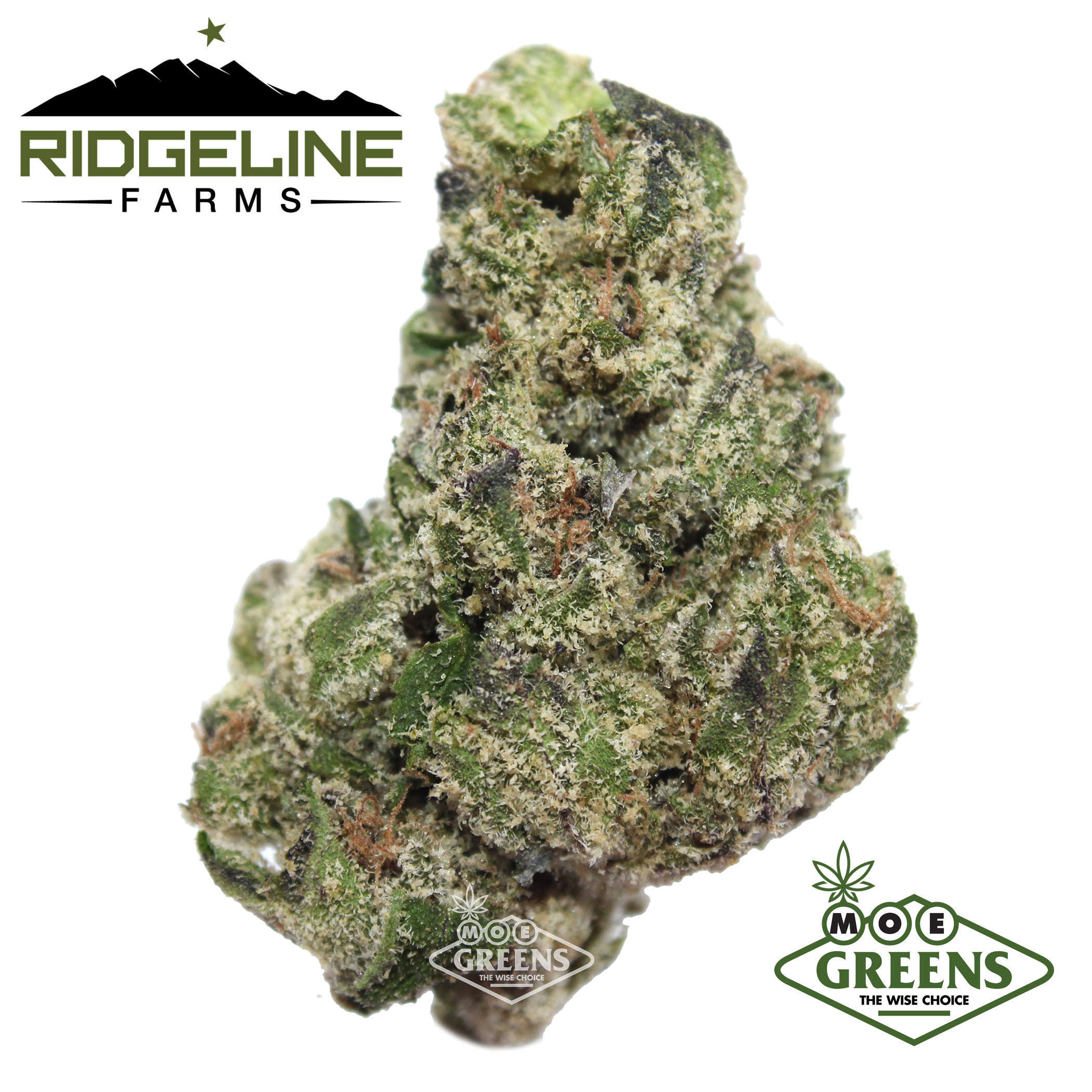 Photograph of product: BLUEBERRY CAVIAR