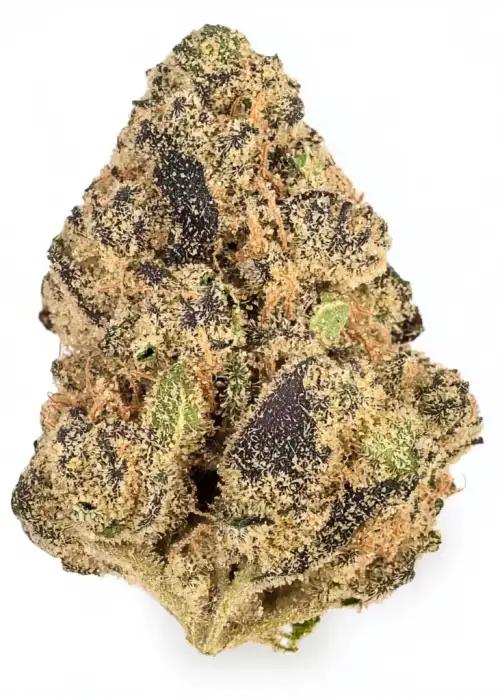 Photograph of product: Chem Runtz | Glorious | Icewater au chocolat Infused