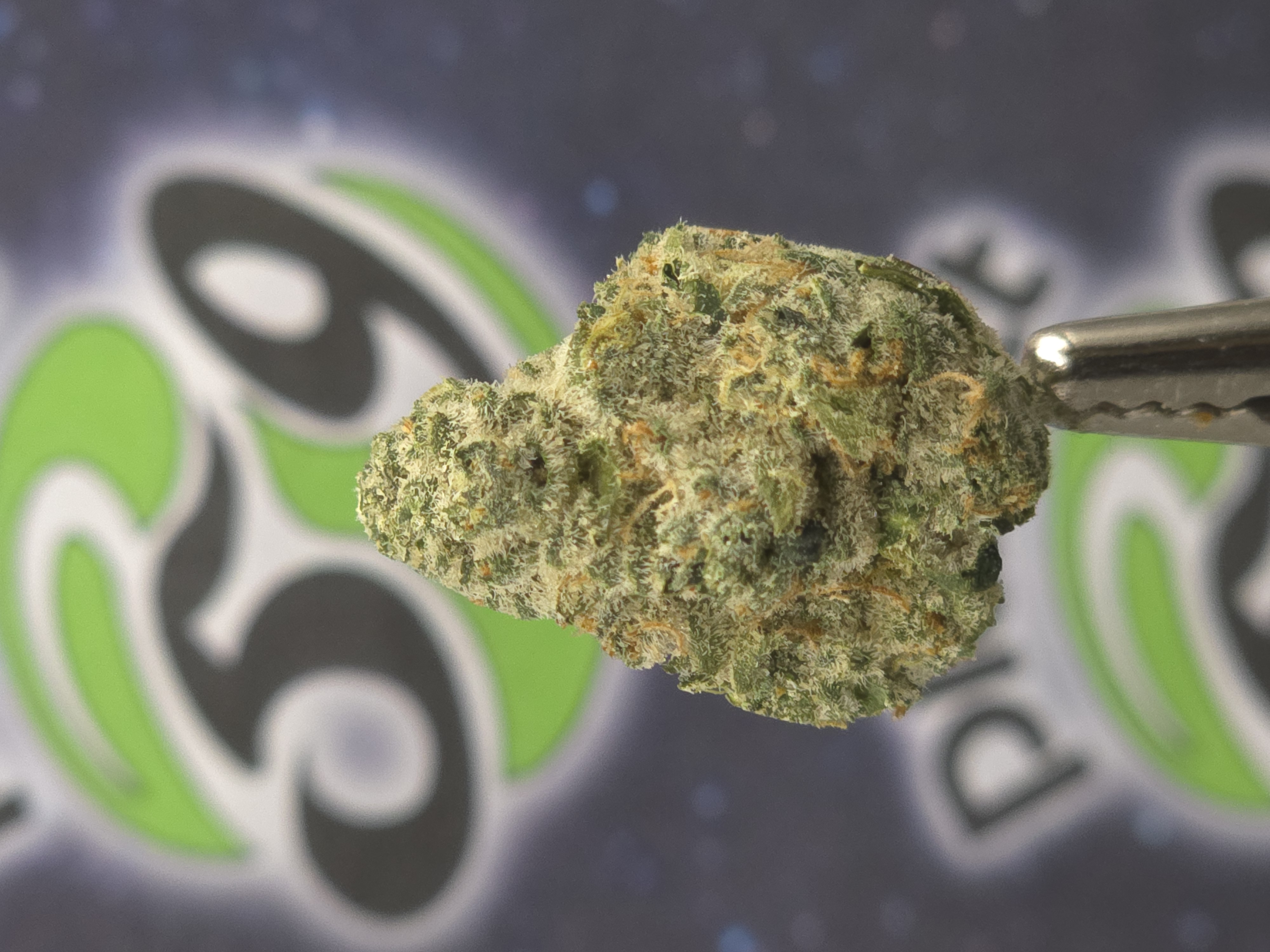 Photograph of product: Goldkine | Mint Chocolate Chip Prepack - 3.5g