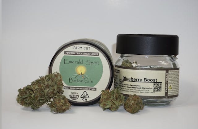 Photograph of product: Blueberry Boost - 7.5g - 