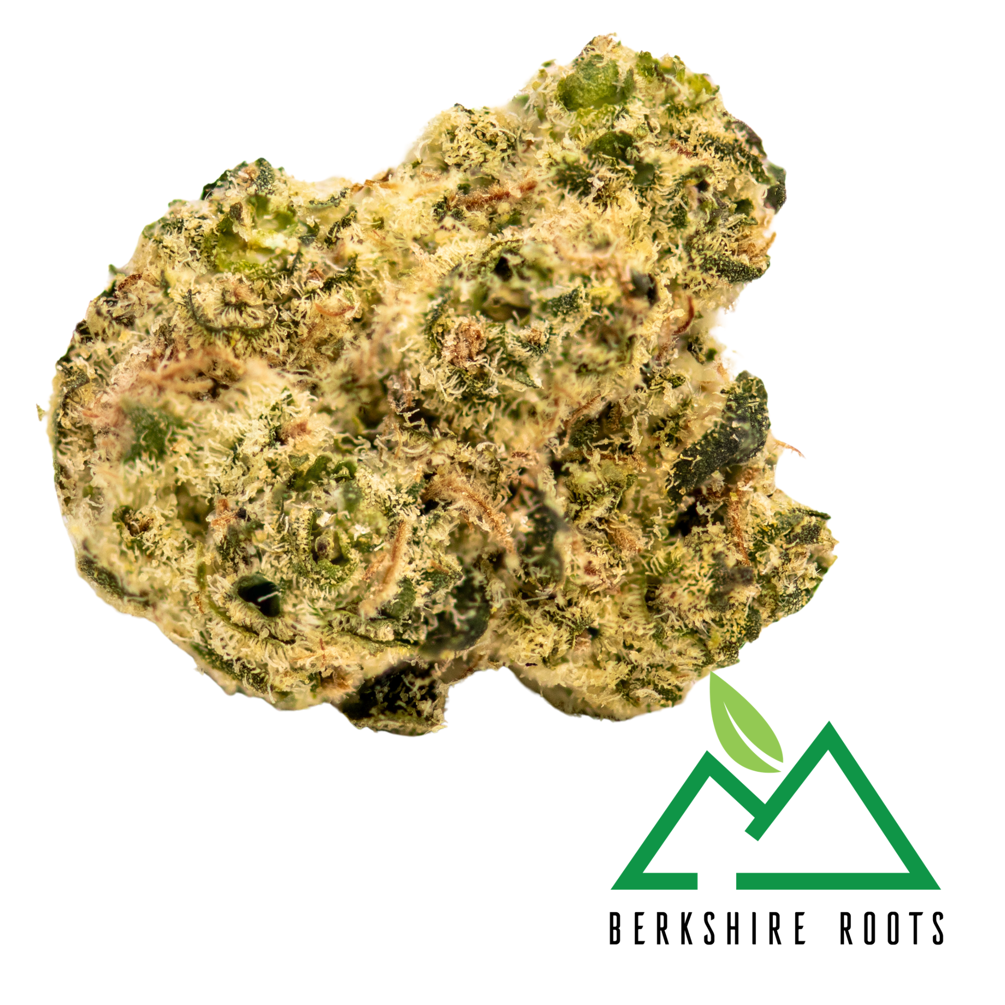 Photograph of product: D Sailor | 3.5g