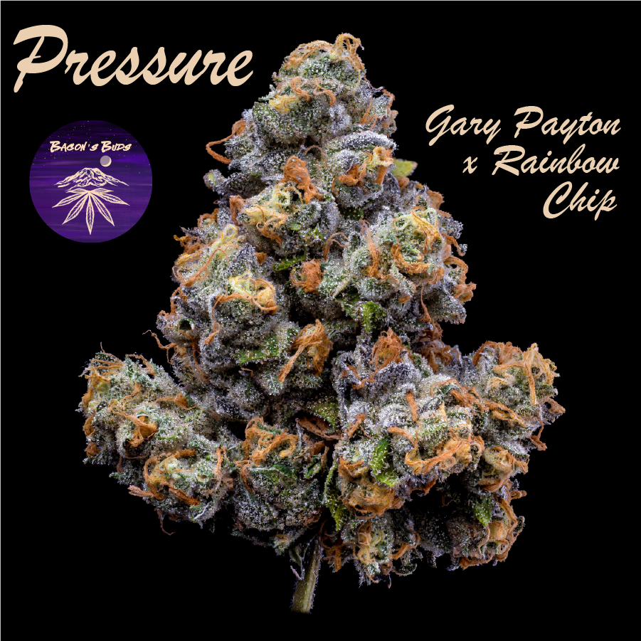 Photograph of product: Pressure - 7g