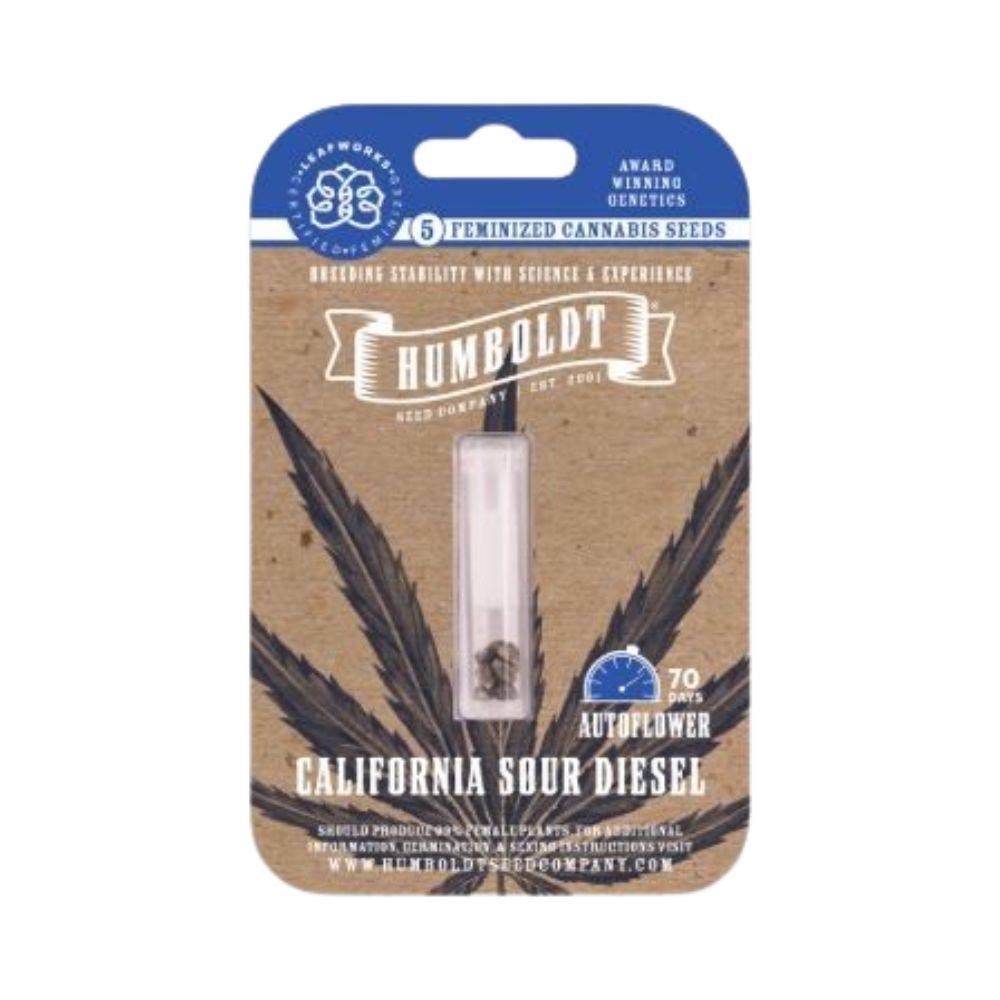 Photograph of product: CALIFORNIA SOUR DIESEL SEEDS 10-PACK (FEMINIZED AUTOFLOWER)