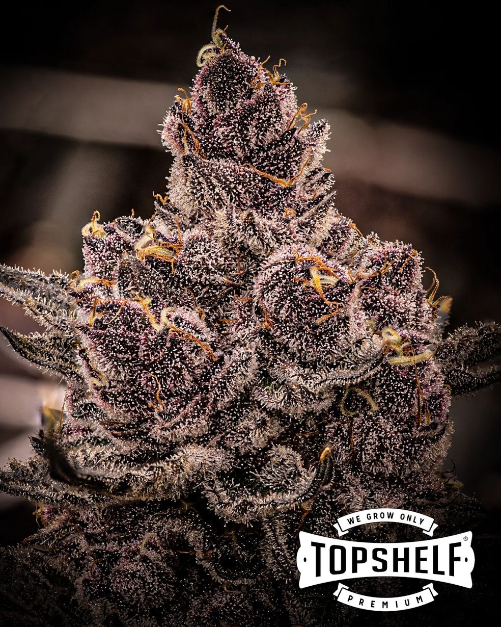 Photograph of product: Trop Soulja - 4g