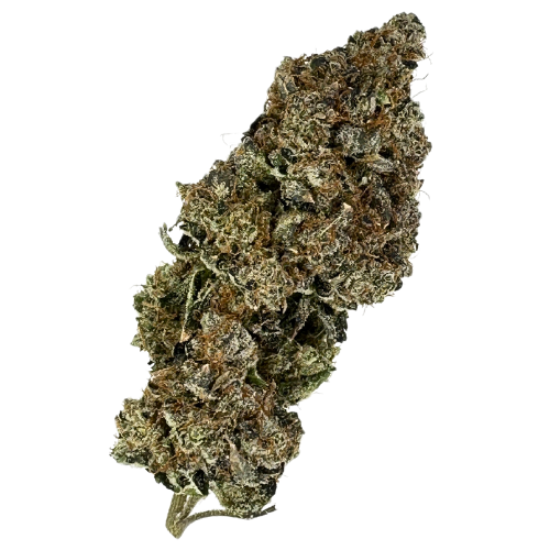 Photograph of product: Wolverine Extracts Superglue - 28g