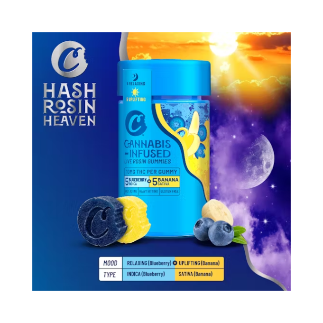 Photograph of product: Blueberry & Banana (10pk/100mg) Live Rosin Gummies [H]