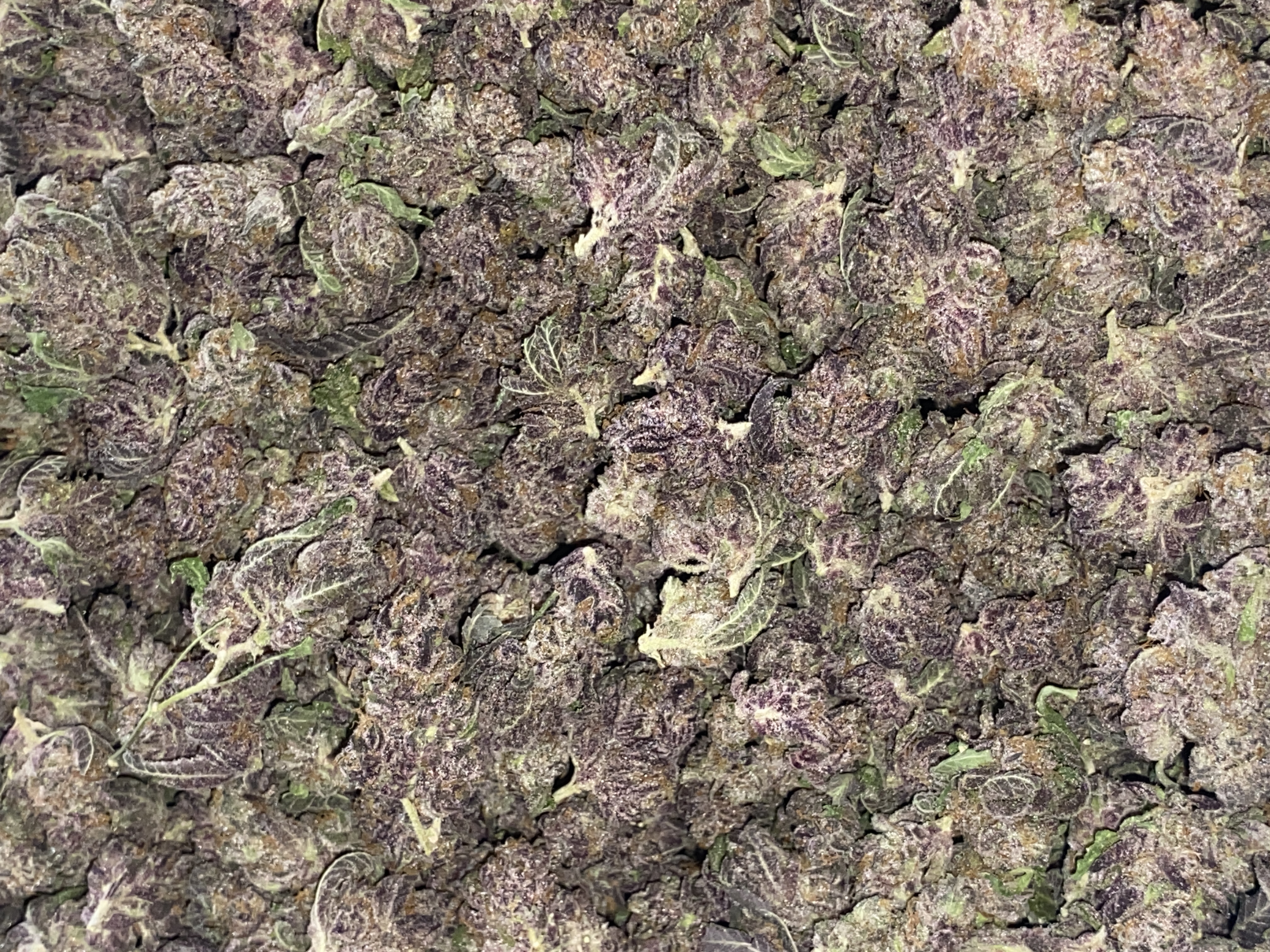 Photograph of product: Smalls | Premium Flower - 14g