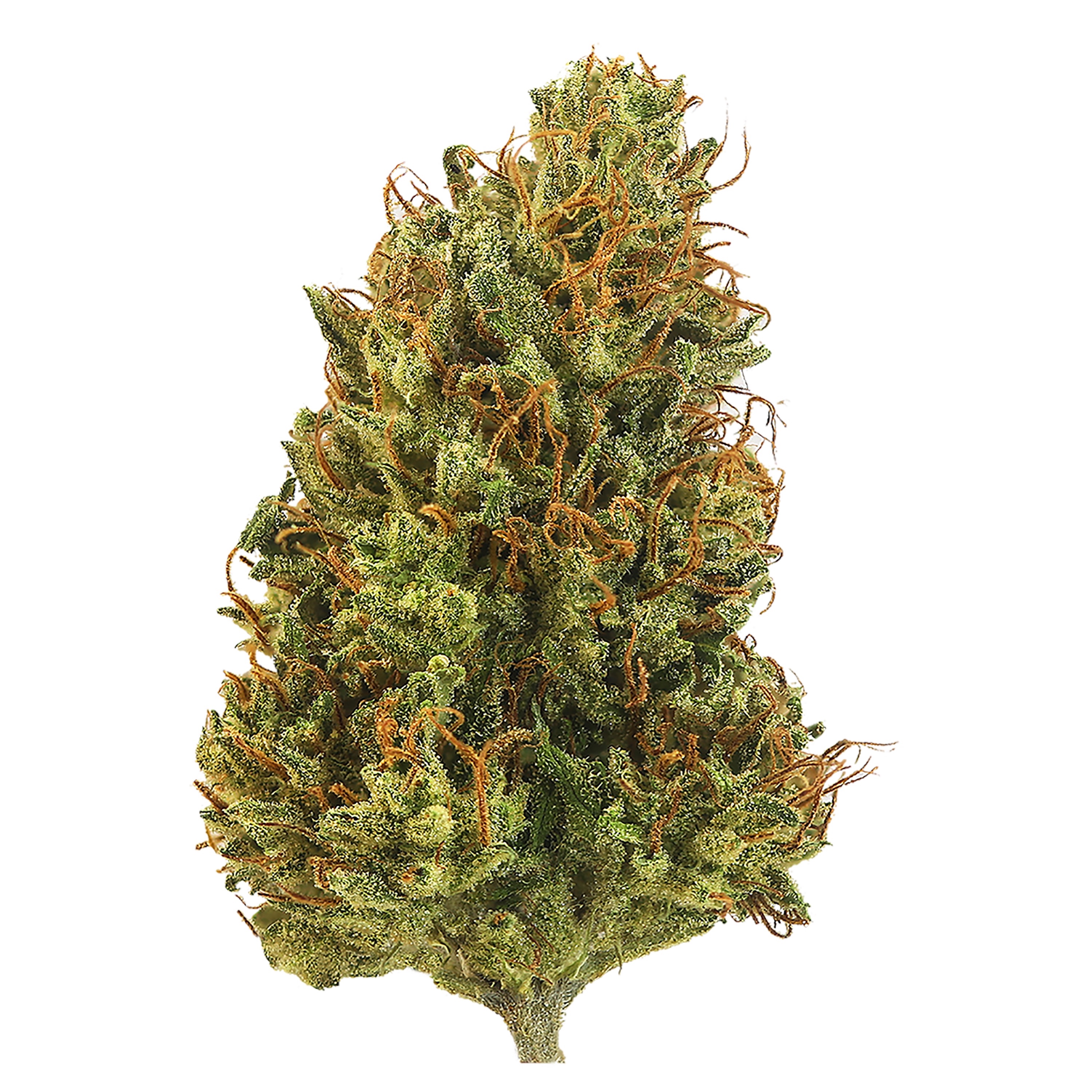 Photograph of product: ALTER FARMS | PINEAPPLE THAI