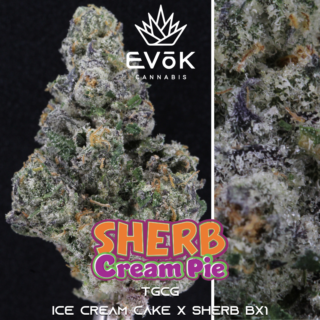 Photograph of product: Pre-pack Oui'd Trimmed Buds | Sherbet Cream Pie NBRHD - 14g