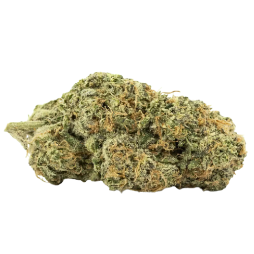 Photograph of product: Carbon Premium Alpha Dog - 28g