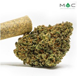 Photograph of product: Earthbender Pre-Roll | 1g