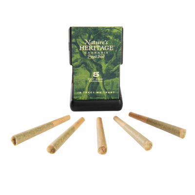 Photograph of product: Governmint Oasis - 5pk Preroll 0.5g ea