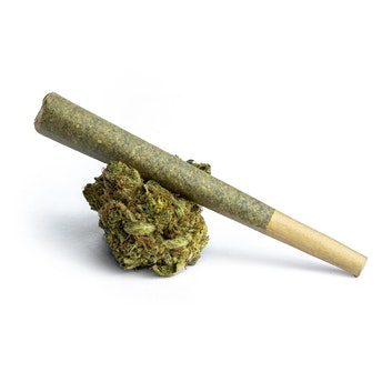 Photograph of product: Permanent Belts | Pre-Roll | 1g