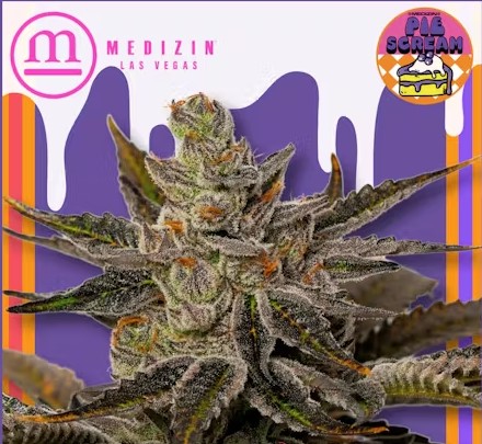 Photograph of product: Medizin | Piescream - 3.5g