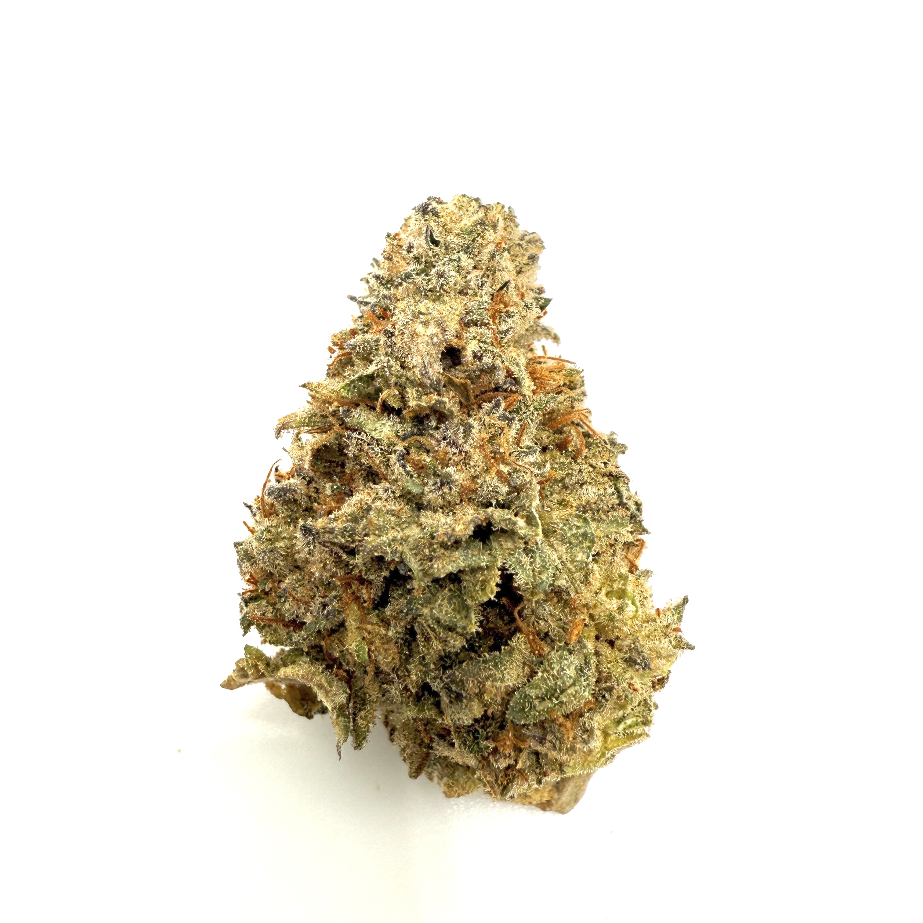 Photograph of product: Glue Flower | Hybrid | Mainely Rooted - 28g