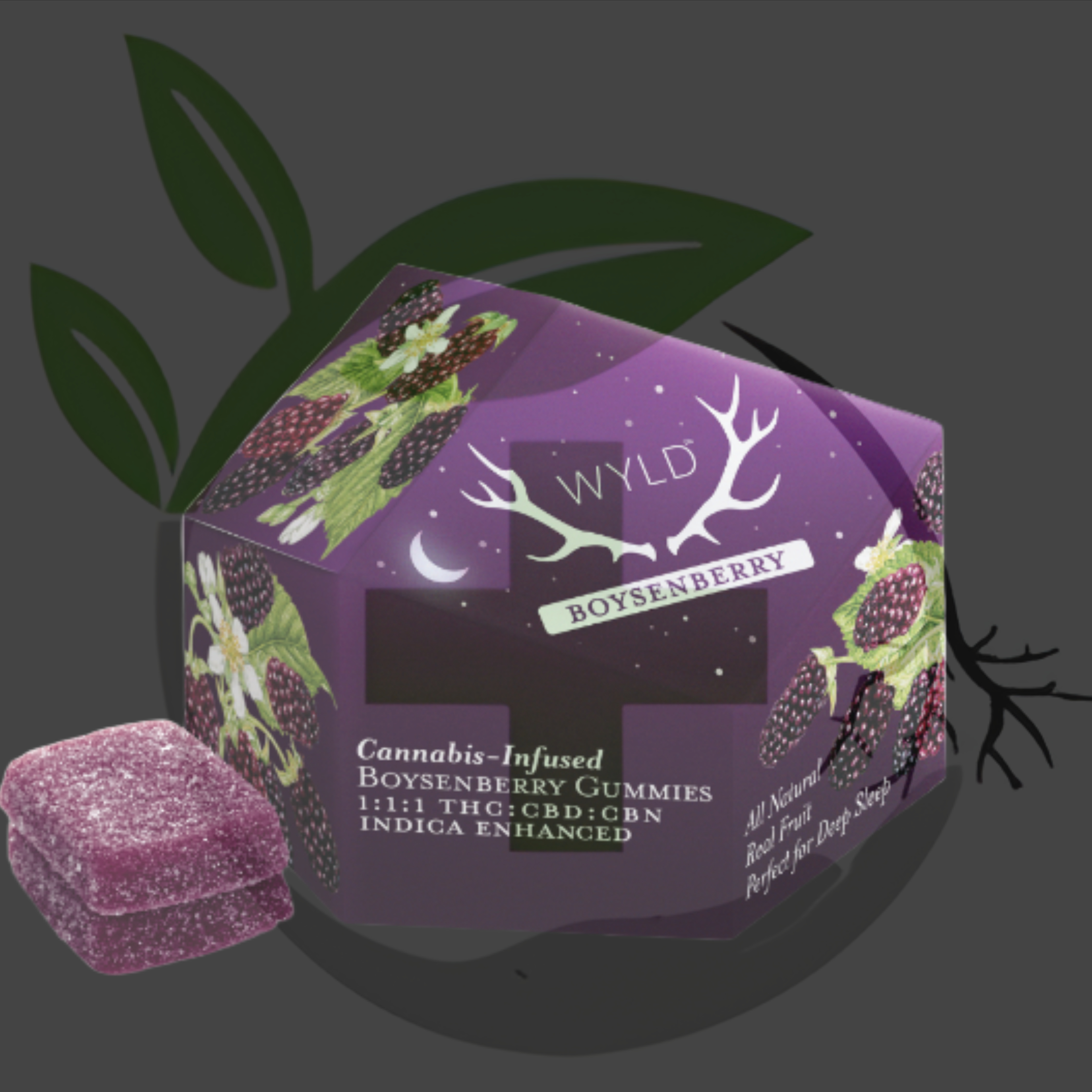 Photograph of product: Gummy - TF - WYLD - 100mg 10pc - Boysenberry 1:1:1