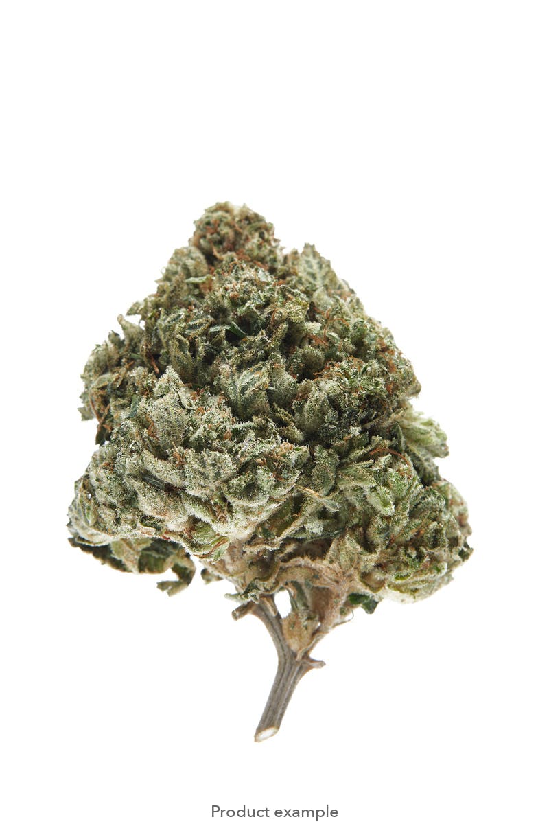 Photograph of product: CT - Kush Mints - Flower - Bulk