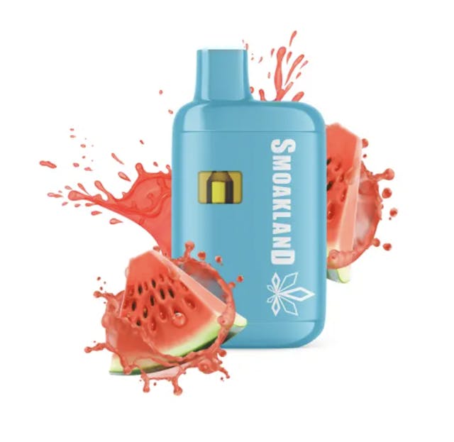 Photograph of Product: Feels Watermelon Push Pop Disposable 1g - Sales Floor