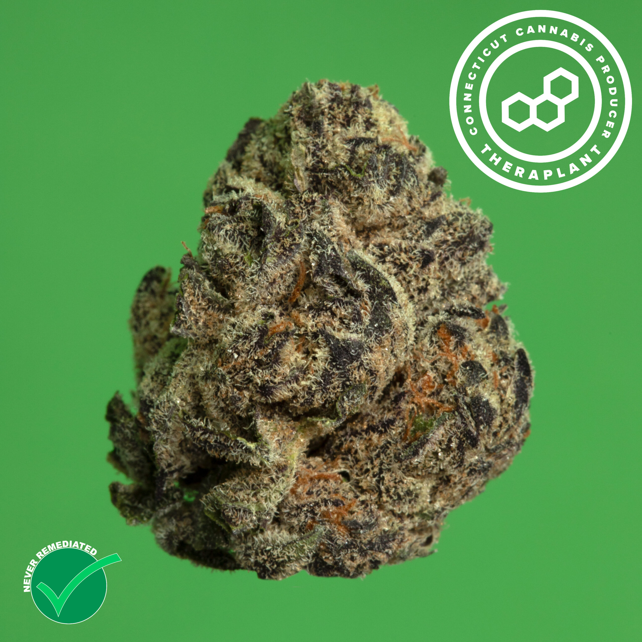 Photograph of product: Theraplant Larry's Lato Whole Flower 20.47% (H) 3.5g - 00805