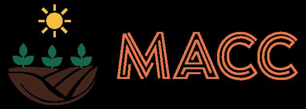 Photograph of product: Apples and Bananas Preroll | 1g