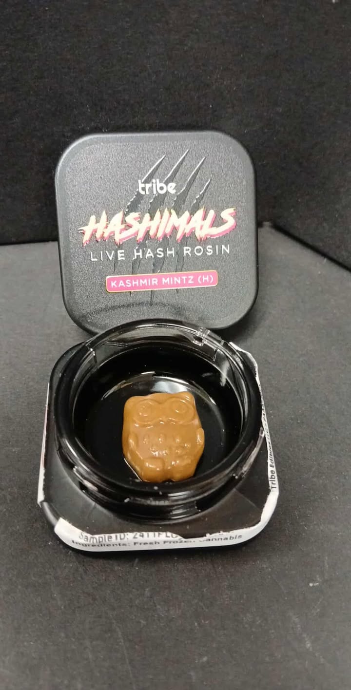 Photograph of product: Kashmir Mintz $23.50 Owl au chocolatimal | Tribe