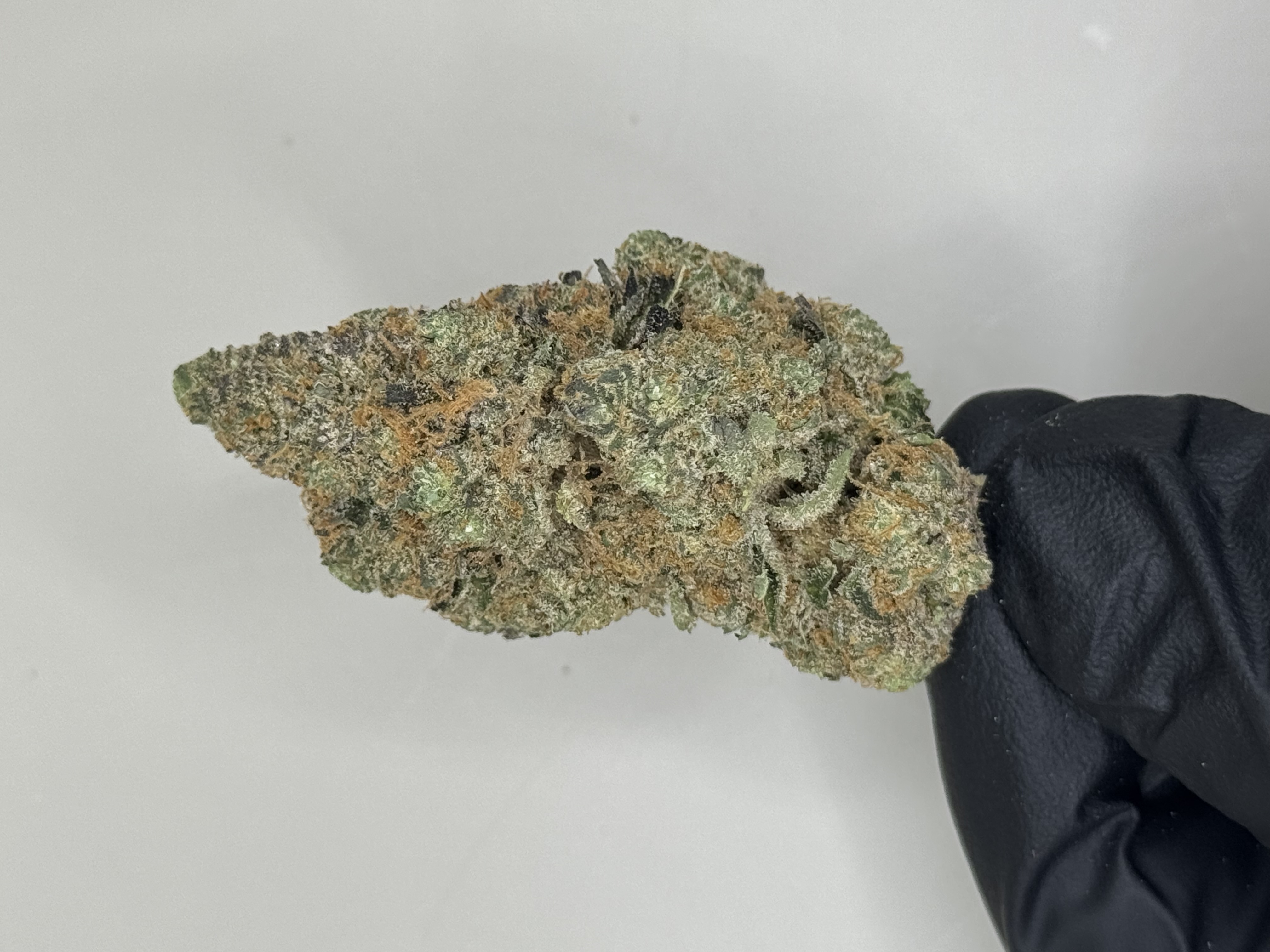 Photograph of product: 605 Oui'd Animal Xj-13 Bulk Flower - 28g