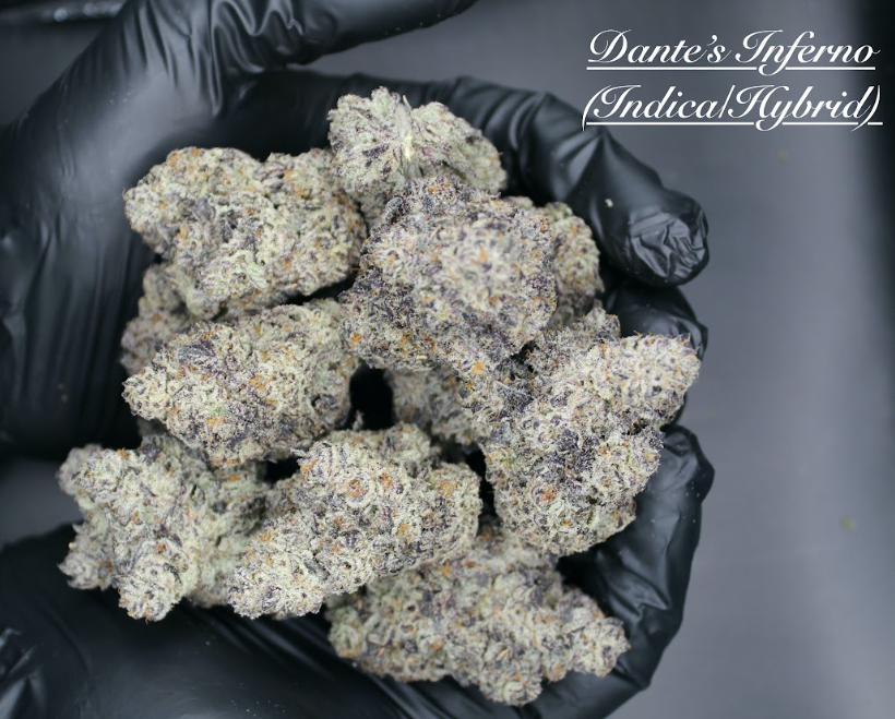 Photograph of product: Dante's Inferno Flower | 3.5g - Coastal Healing
