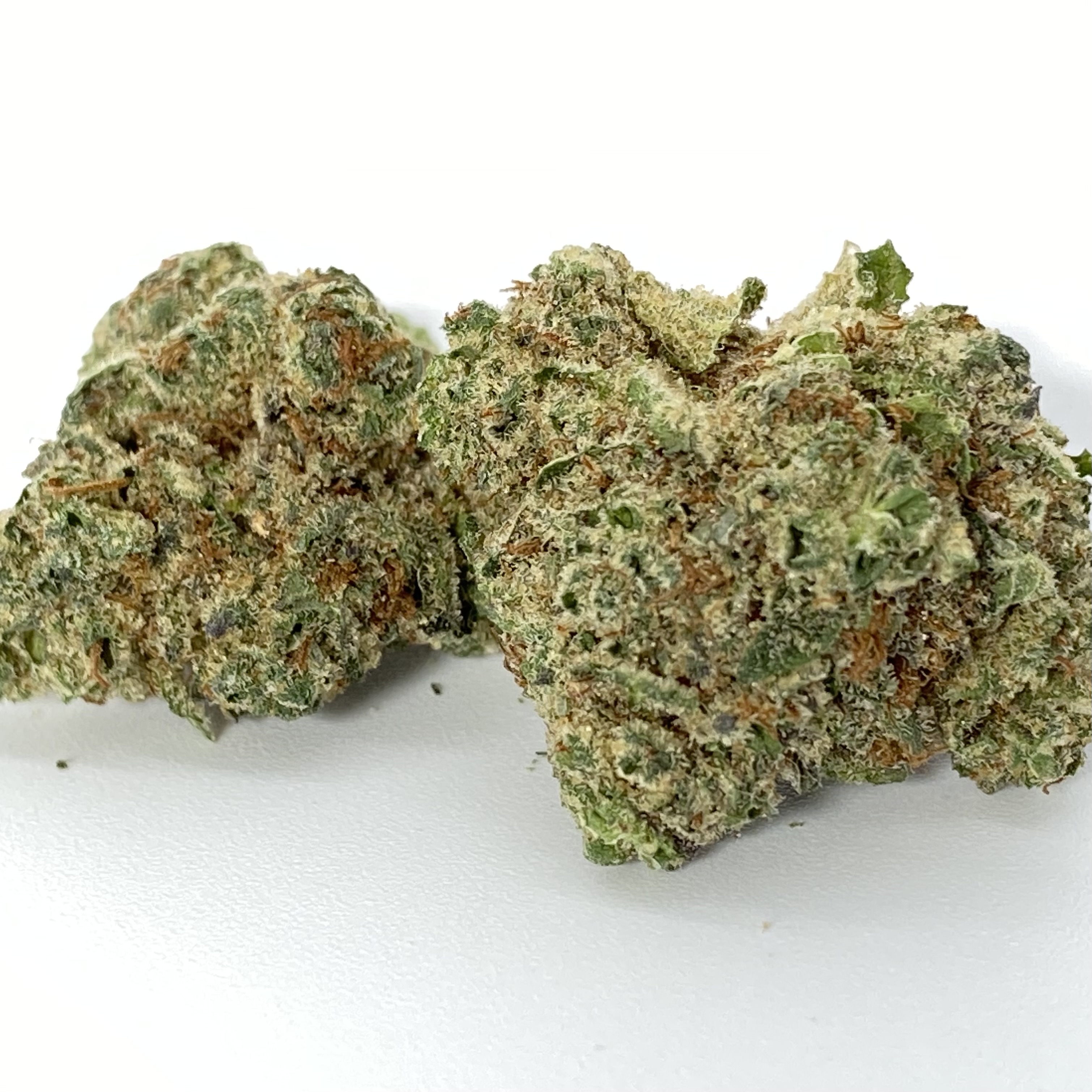 Photograph of product: Equinox Divorce Cake Flower 3.5g Display